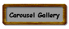 Carousel Gallery