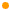 bullet